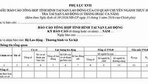 Báo Cáo Tai Nạn Lao Động Cuối Năm 2022 Là Gì