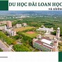 Học Bổng Du Học Đài Loan 2022 Cần Gì Để Làm Gì Tiếp Theo Ở Mỹ