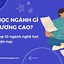 Học Ngành Gì Lương Cao Nhất