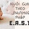 Nuôi Trẻ Sơ Sinh Theo Phương Pháp Easy