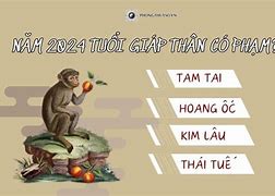 Tử Vi Tuổi Giáp Thân 2004 Nam Mạng Năm 2024