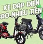 Xe Đạp Điện 2 Bình Bao Nhiêu Tiền